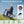 Automatic Folding Electric Scooter for Adults and Seniors, 4 Wheel Foldable Travel Scooter - Airline Approved